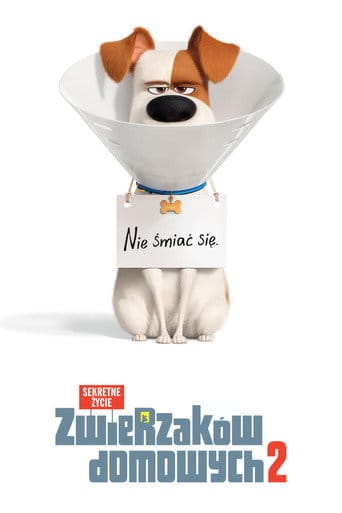 Sekretne życie zwierzaków domowych 2 Cały Film (2019) • Vider
