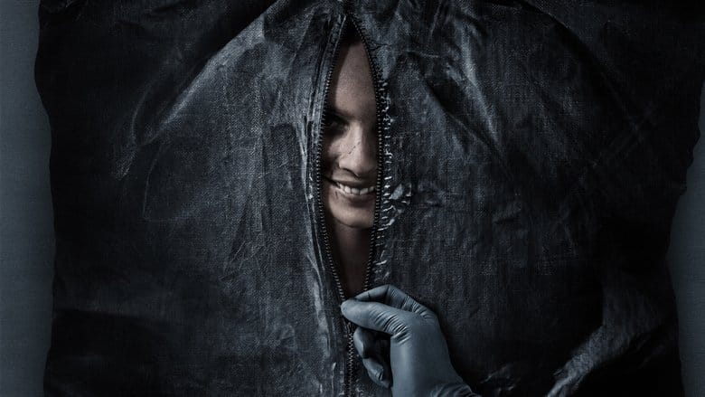 Uśmiechnij się Cały Film (2022) • Vider