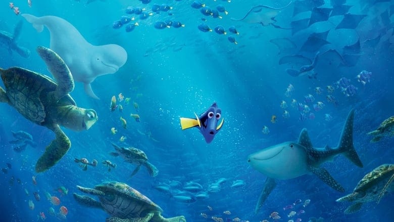 Gdzie jest Dory Cały Film (2016) • Vider