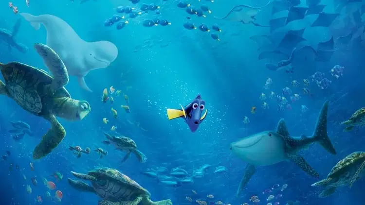 Gdzie jest Dory Cały Film (2016) • Vider