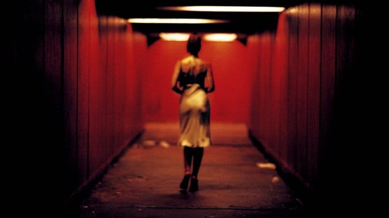 Nieodwracalne Cały Film (2002) • Vider